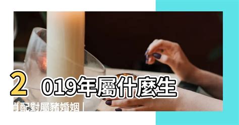 人豬配|豬相配，愛情婚姻——十二生肖相配